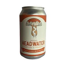 Brühaven Headwater Peach Mango Brain Boost